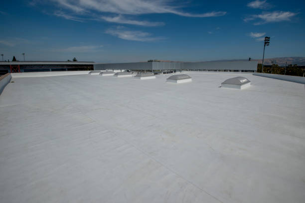 Best Skylight Installation and Repair  in Southern View, IL