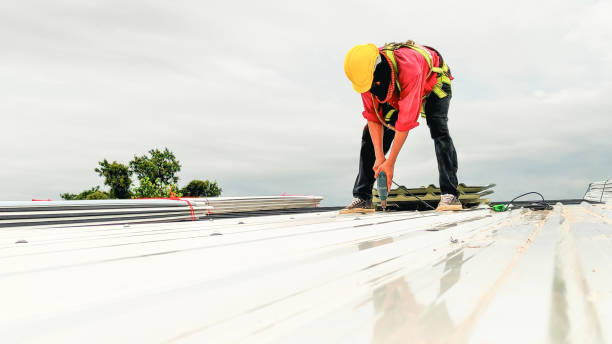 Best Tile Roofing Installation  in Southern View, IL